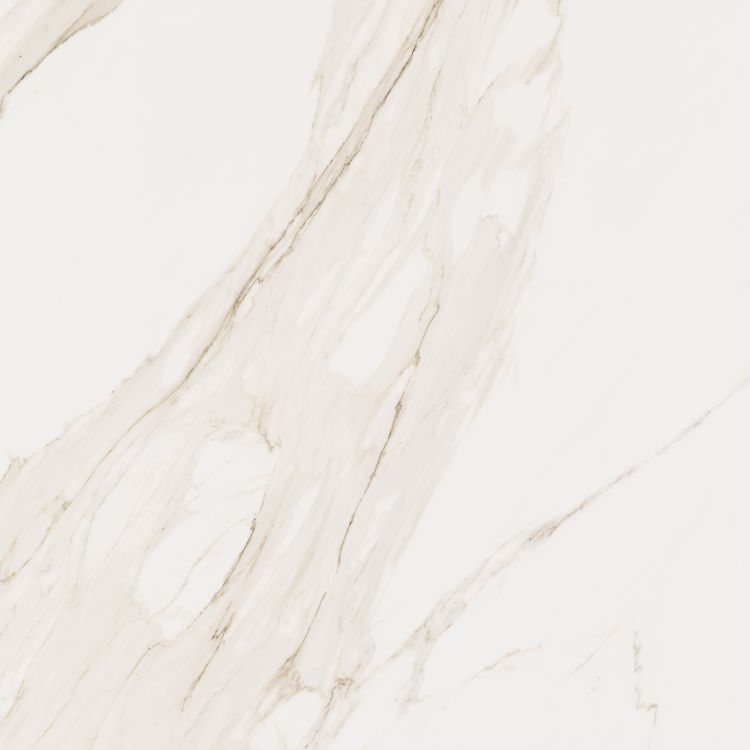 Omnia Calacatta Levigato 48 x 48